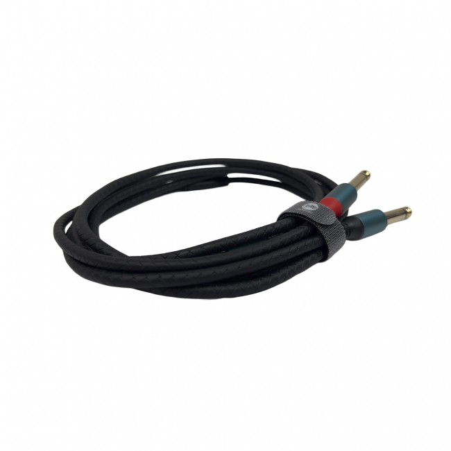 VMR AUDIO | CS-PLUGM-X2-USBC-2